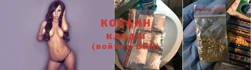 Cocaine FishScale  Богородск 